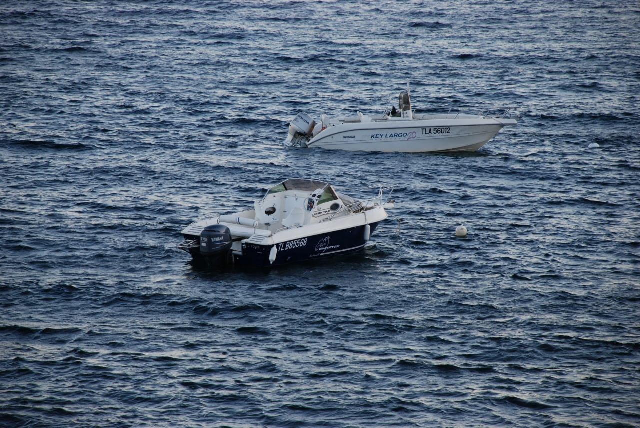 le bateau( shaft 600, 115cv horbord)