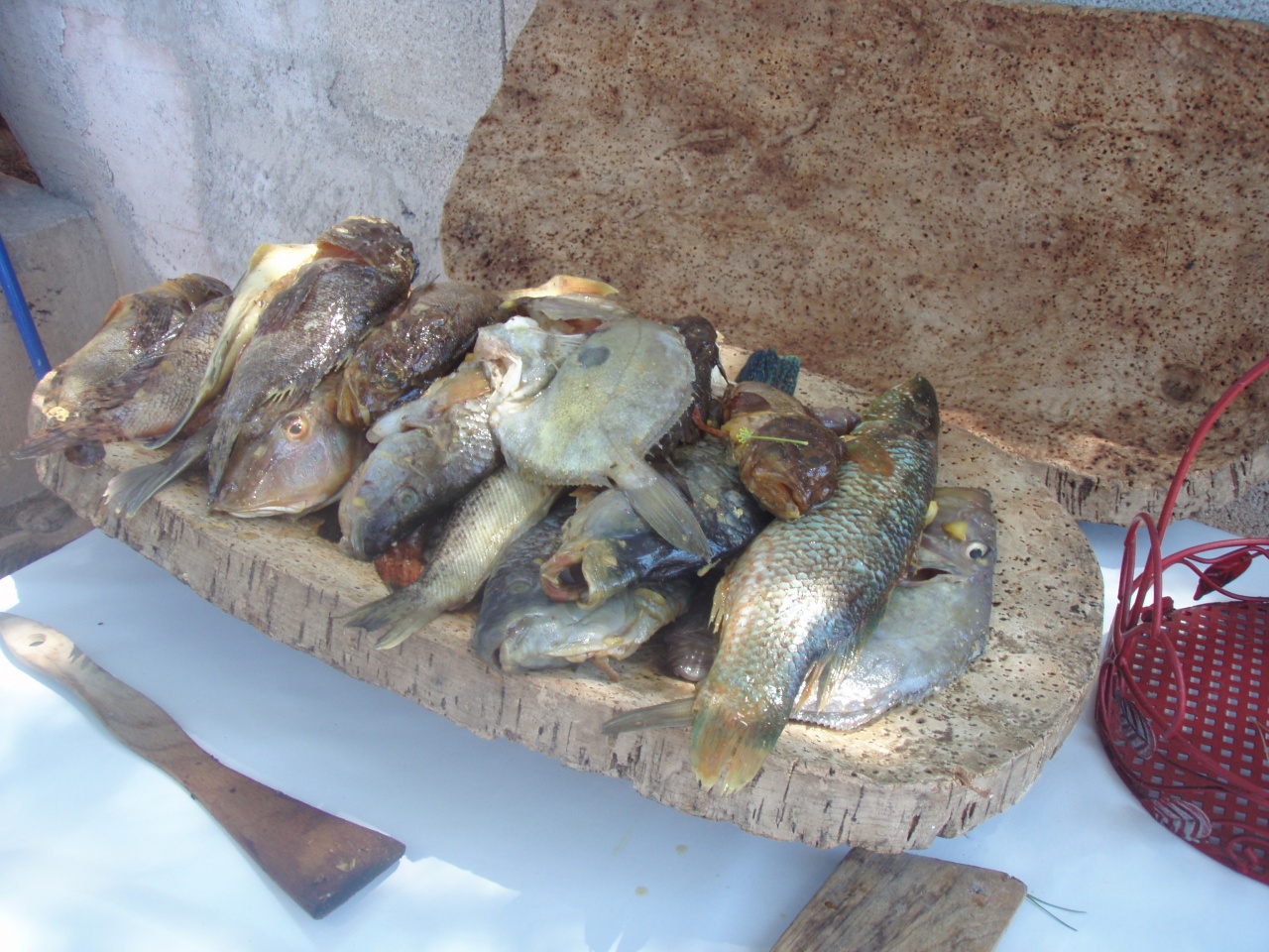 envie de poisson ? 